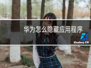 华为怎么隐藏应用程序