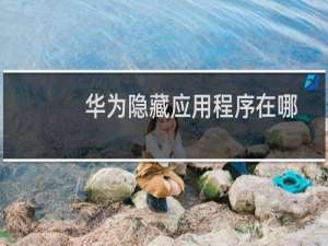 华为隐藏应用程序在哪