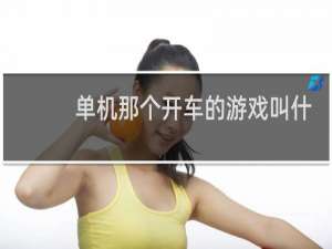 单机那个开车的游戏叫什么