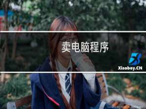 卖电脑程序