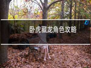 卧虎藏龙角色攻略