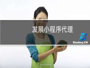 发展小程序代理