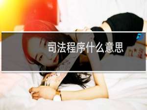 司法程序什么意思