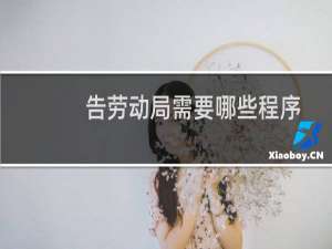 告劳动局需要哪些程序
