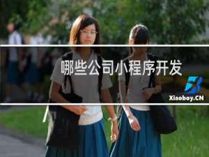 哪些公司小程序开发