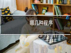 哪几种程序