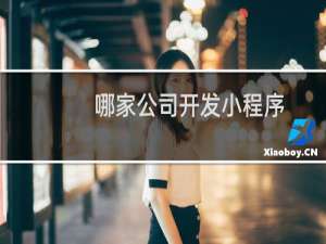 哪家公司开发小程序