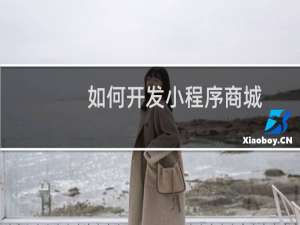 如何开发小程序商城
