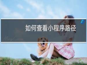 如何查看小程序路径