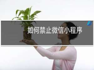 如何禁止微信小程序