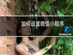 如何设置微信小程序
