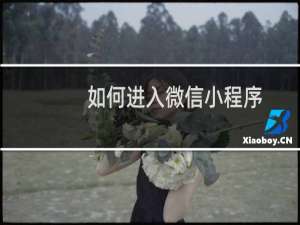 如何进入微信小程序