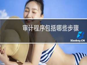审计程序包括哪些步骤