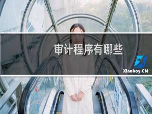 审计程序有哪些