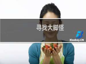 寻找大脚怪 攻略