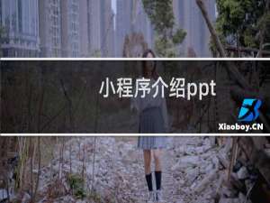 小程序介绍ppt