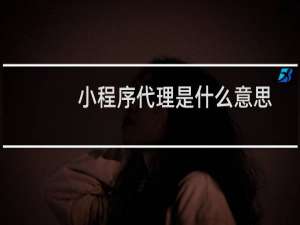 小程序代理是什么意思