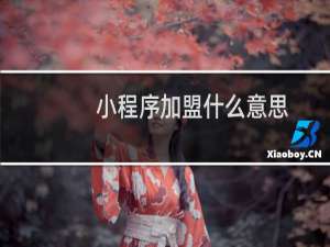 小程序加盟什么意思