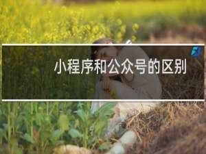 小程序和公众号的区别