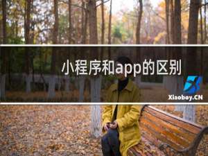 小程序和app的区别