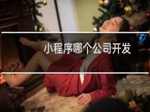 小程序哪个公司开发
