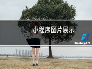 小程序图片展示
