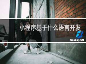 小程序基于什么语言开发