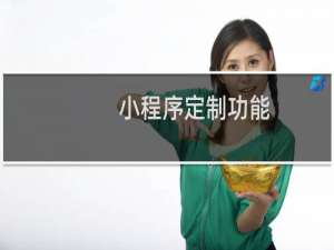 小程序定制功能