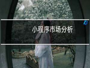 小程序市场分析