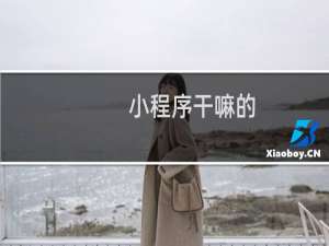 小程序干嘛的