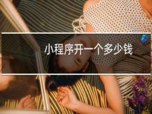 小程序开一个多少钱