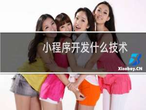 小程序开发什么技术