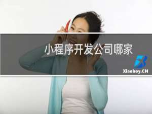 小程序开发公司哪家