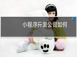 小程序开发公司如何