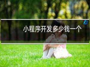 小程序开发多少钱一个
