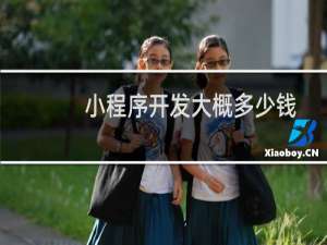 小程序开发大概多少钱