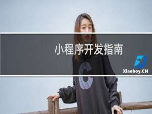 小程序开发指南