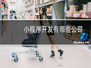 小程序开发有哪些公司