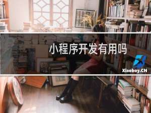 小程序开发有用吗