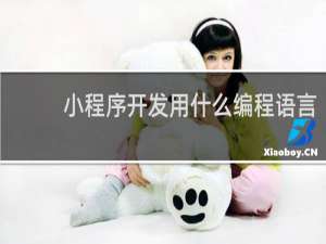 小程序开发用什么编程语言