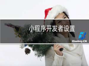 小程序开发者设置