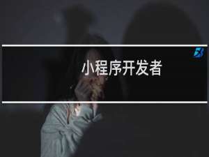 小程序开发者