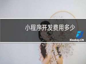 小程序开发费用多少