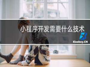 小程序开发需要什么技术