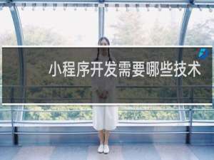 小程序开发需要哪些技术