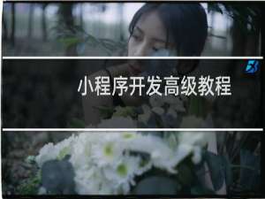 小程序开发高级教程