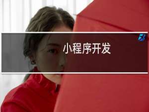小程序开发 案例