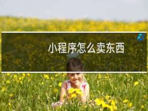 小程序怎么卖东西