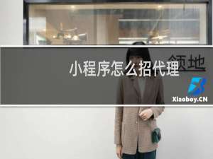 小程序怎么招代理