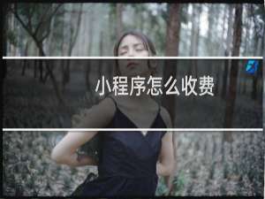 小程序怎么收费